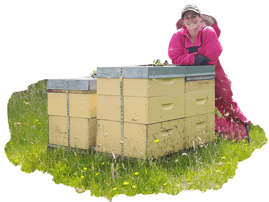 Sustainability Practices in New Zealand Mānuka Honey Production