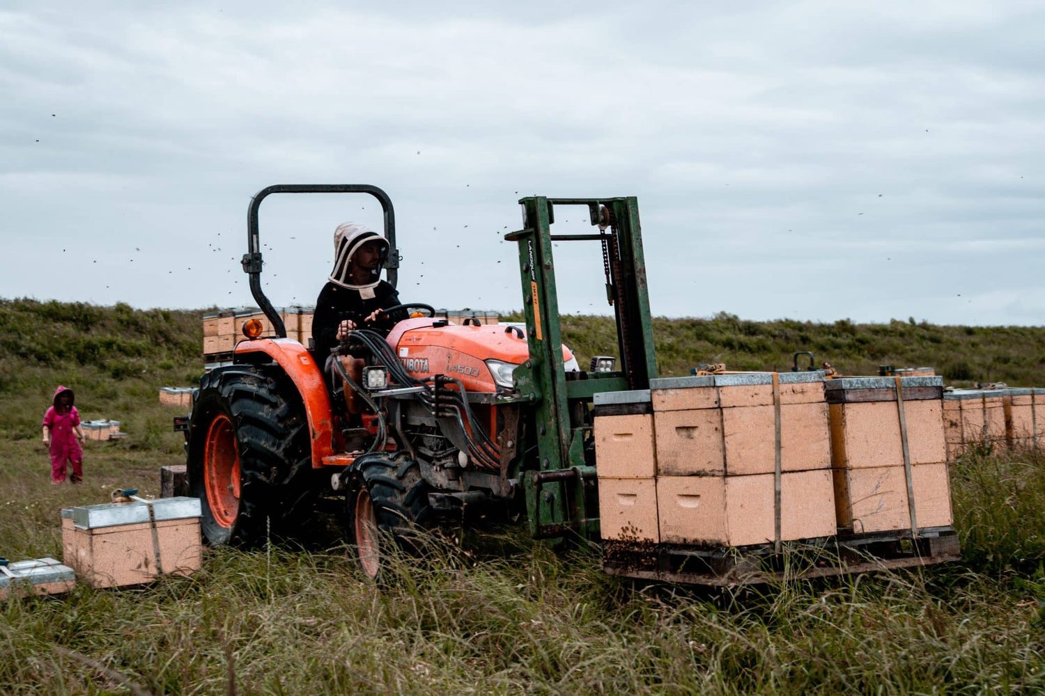 M&H New Zealand | Mãnuka Honey | Tractor
